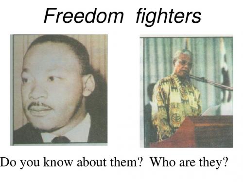 高二英语Freedom-fighters课件1