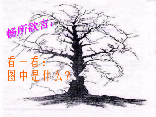 13.事物的正确答案不止一个.ppt