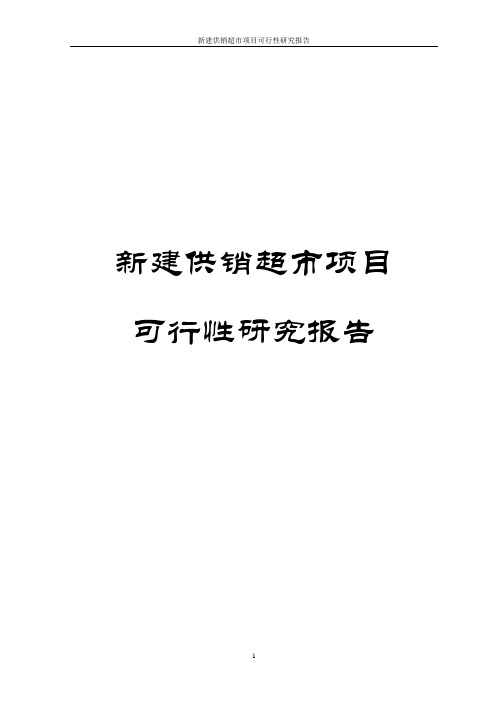 新建供销超市项目可行性研究报告