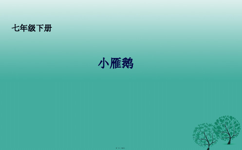吉林省长市七年级语文下册14小雁鹅课件长版