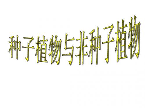 种子植物与非种子植物