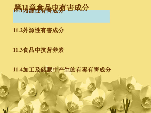 第11章食品中有害成分.ppt