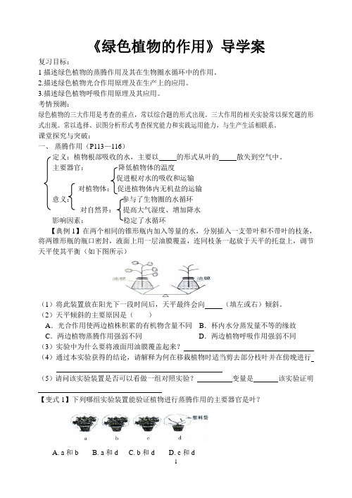 2014绿色植物的作用专题复习导学案