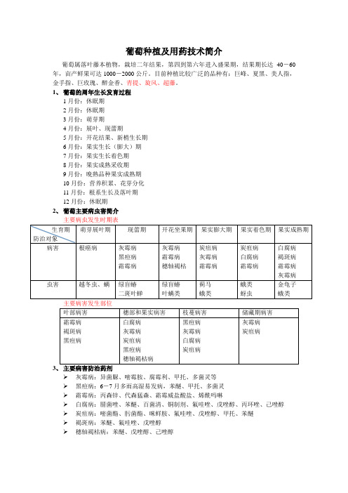 葡萄简介
