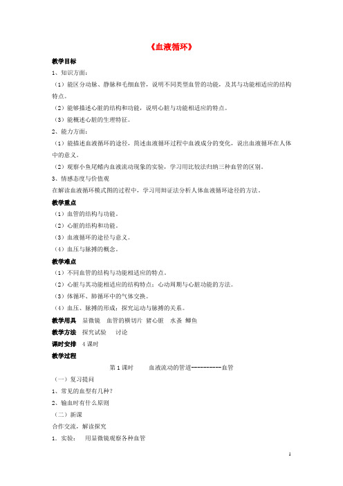 七年级生物下册-第9章-第二节-血液循环教案1-北师大版