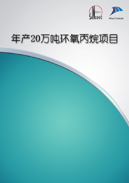 年产 20 万吨环氧丙烷项目-创新性说明
