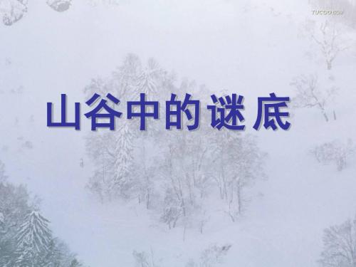 17山谷中的谜底2