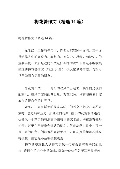 梅花赞作文(精选14篇)