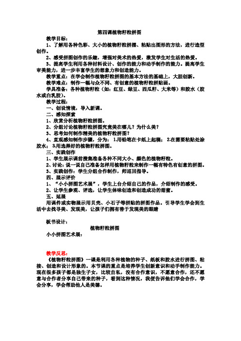 第四课植物籽粒拼图
