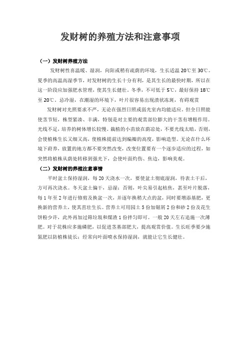 发财树的养殖方法和注意事项