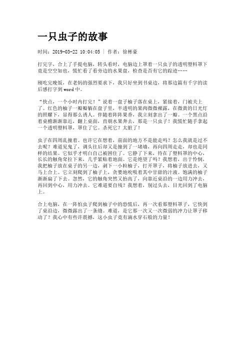 一只虫子的故事