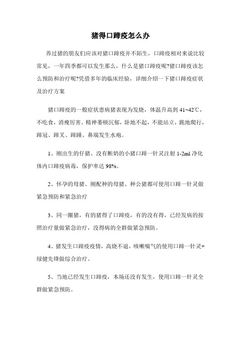 猪得口蹄疫怎么办