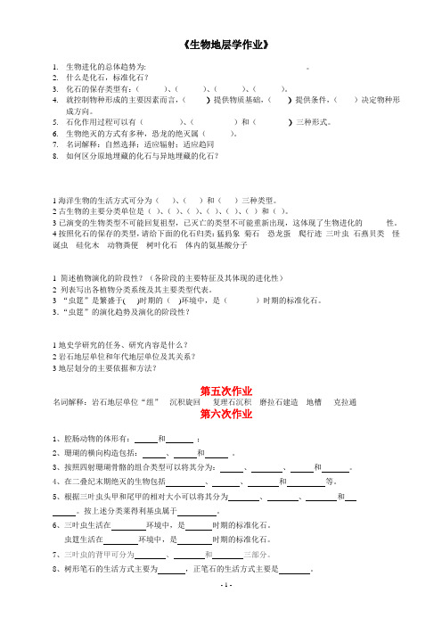 古生物地层 作业