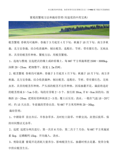 紫菀的繁殖方法和栽培管理(有温度的中药宝典)