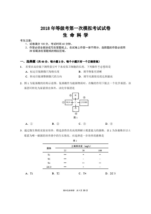 崇明区2018年等级考第一次模拟考试试卷-生命科学