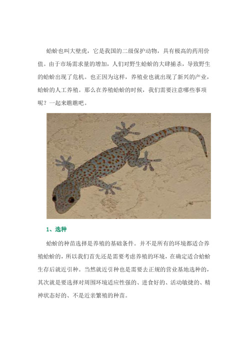 特种养殖：蛤蚧的注意事项