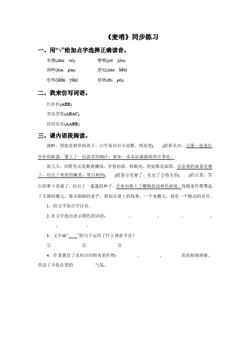 24《麦哨》同步练习3