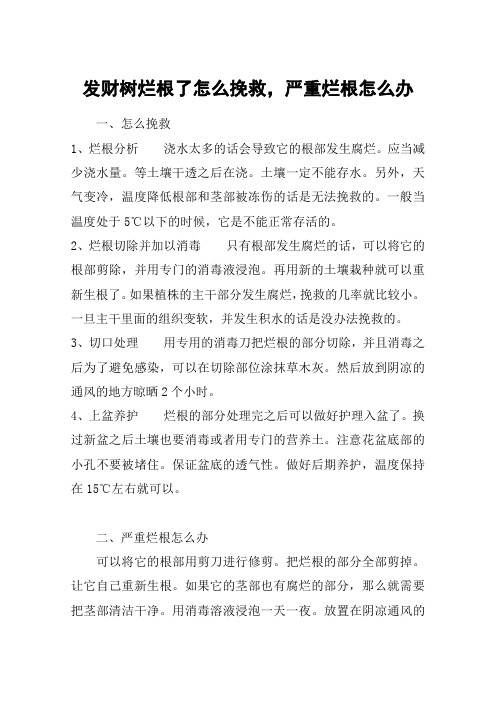 发财树烂根了怎么挽救,严重烂根怎么办