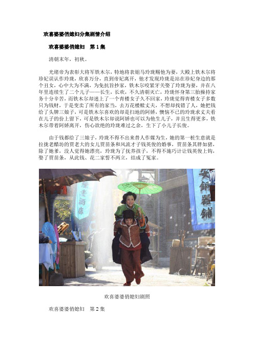 欢喜婆婆俏媳妇分集剧情介绍