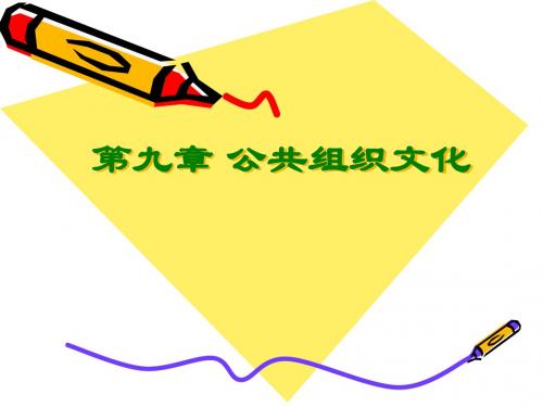9 公共组织文化