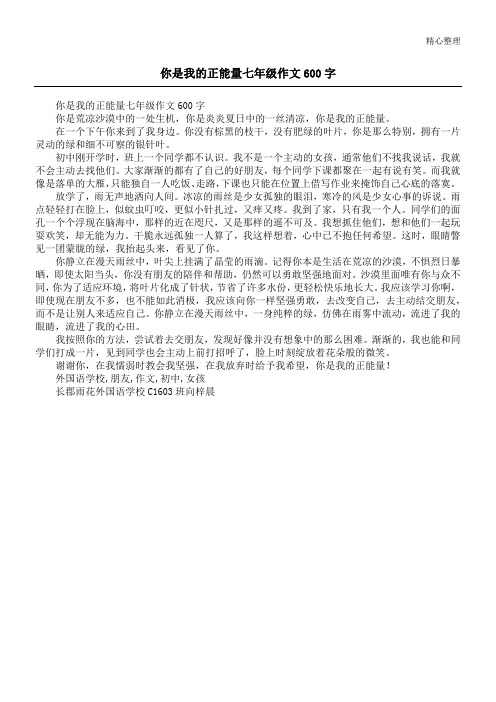 你是我的正能量七年级作文600字_1