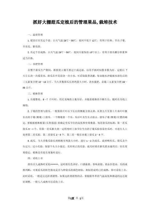 抓好大棚甜瓜定植后的管理果品,栽培技术