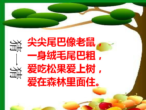 松鼠和松果 第一课时精品PPT课件