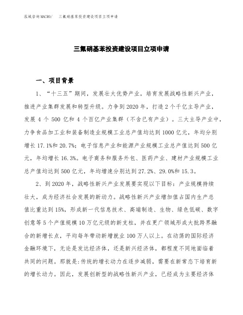三氟硝基苯投资建设项目立项申请(样本)