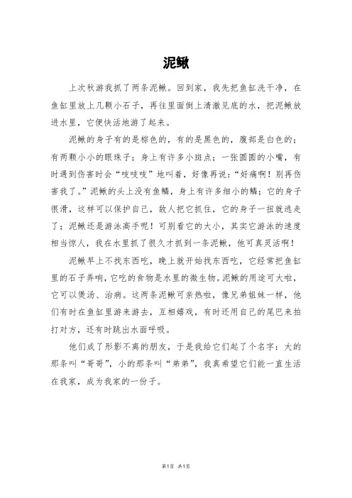 泥鳅_三年级作文