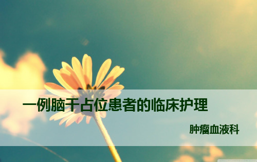 脑干占位