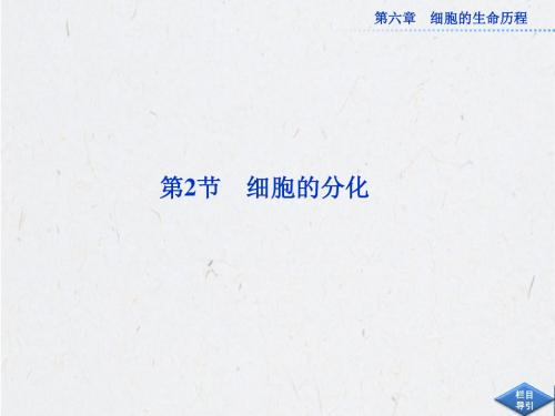 2013年人教版生物必修1全册精品课件 第六章 第2节