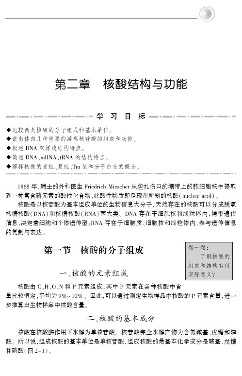 2核酸的结构和功能