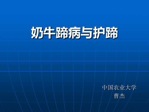 奶牛蹄病与护蹄课件