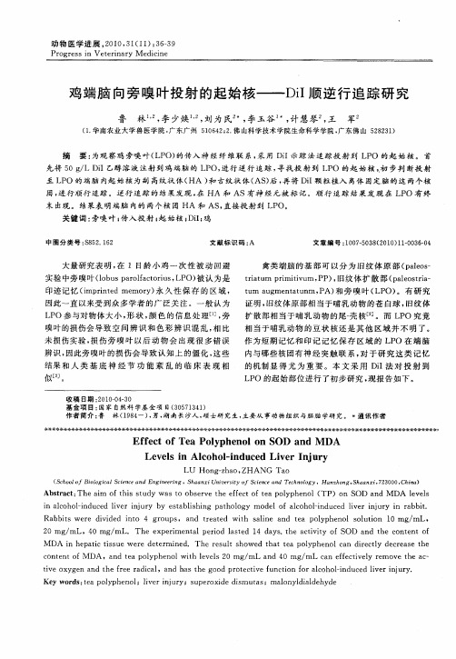 鸡端脑向旁嗅叶投射的起始核——DiI顺逆行追踪研究