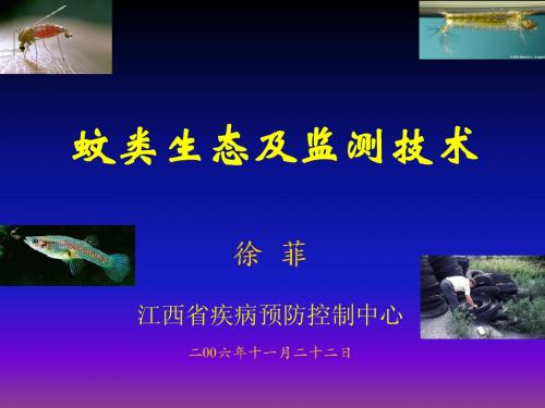 徐菲讲课蚊2