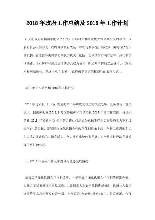 最新2018年政府工作总结及2019年工作计划