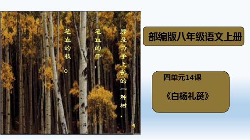 人教部编版八年级语文上册《白杨礼赞》公开课课件