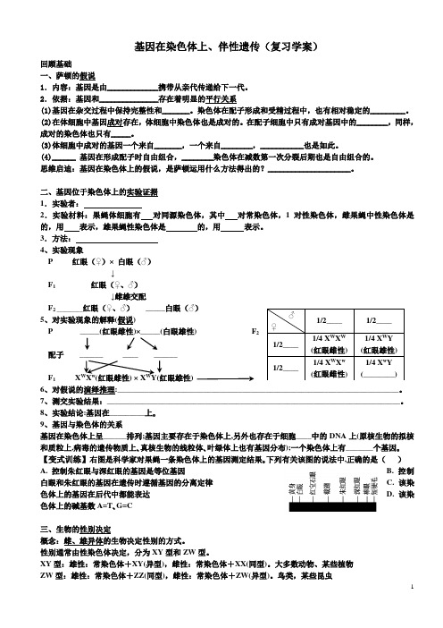一轮复习-基因在染色体上.伴性遗传学案doc