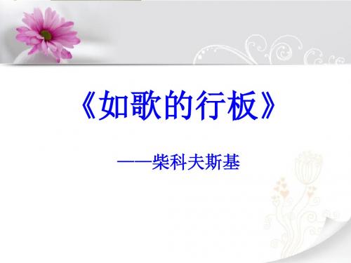 《如歌的行板》PPT课件5