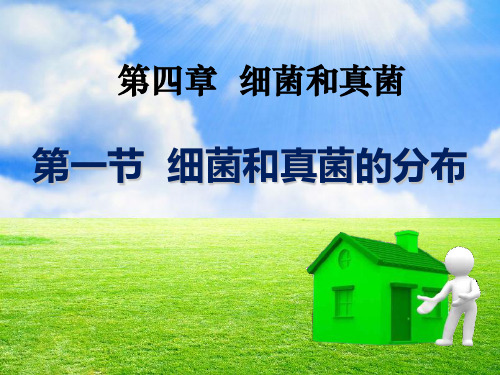 人教版八年级上册生物 《细菌和真菌的分布》细菌和真菌PPT课件 (4)
