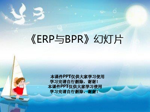 《ERP与BPR》幻灯片