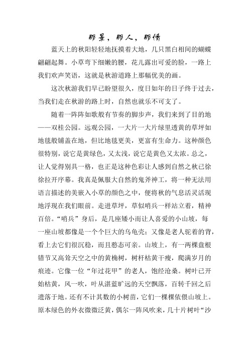那景,那人,那情