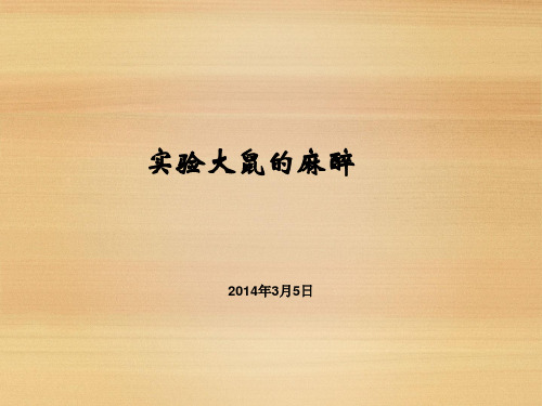 大鼠麻醉