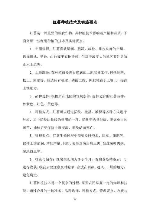红薯种植技术及实施要点