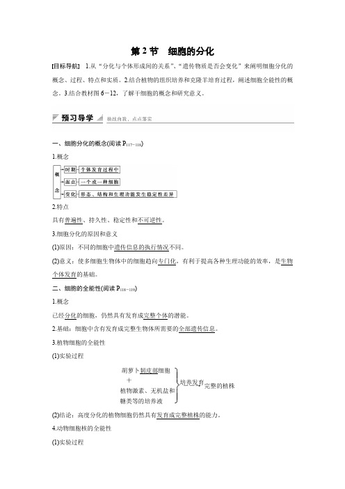 2015-2016学年高一生物人教版必修1学案：第六章 第2节 细胞的分化 