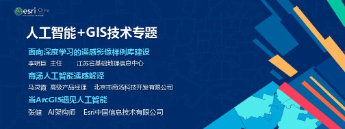 人工智能+GIS技术专题