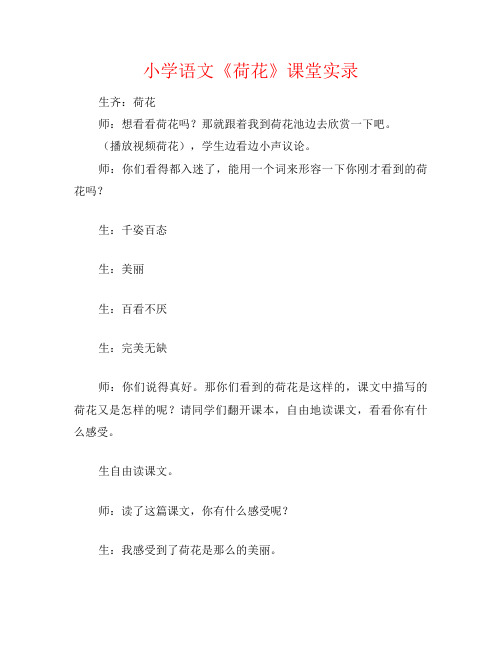小学语文《荷花》课堂实录