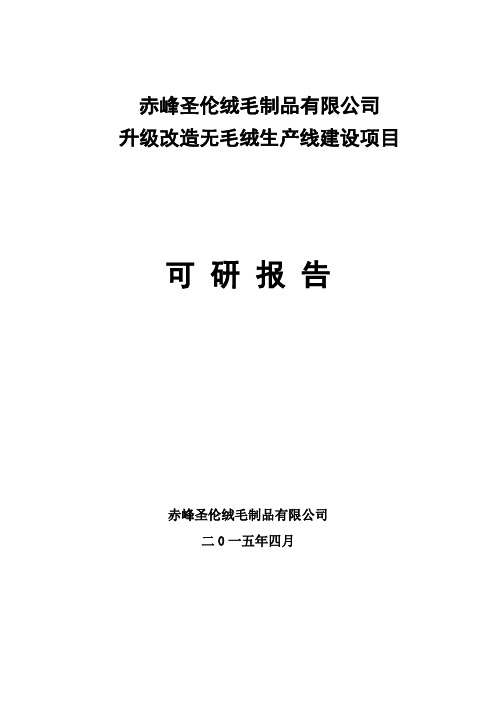 生产管理--升级改造无毛绒生产线可研 精品