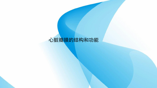 心脏瓣膜的结构和功能