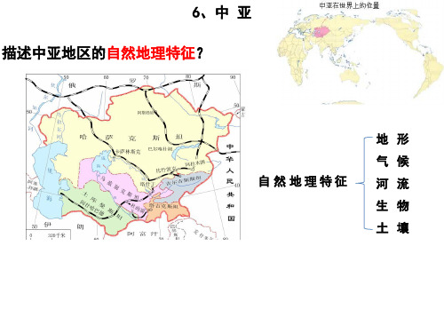 中亚